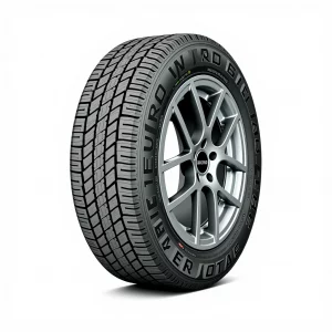 Winter Tire SnowMaster 195/65R15